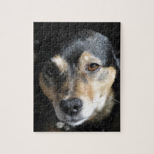 Puzzle Joli Petit Chien Posant pour l'Appareil Photo