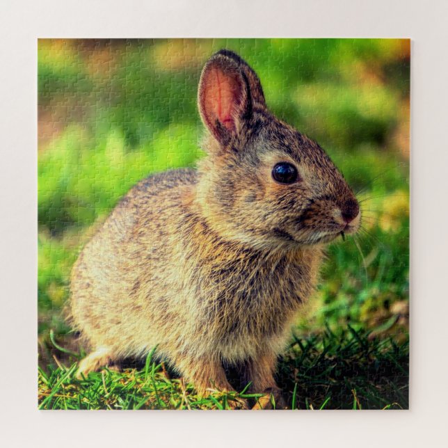 Puzzle Joli Petit Lapin - Douce (Horizontal)