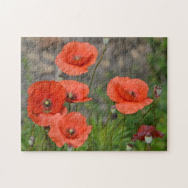 Puzzle Joli Poppy rouge (Horizontal)