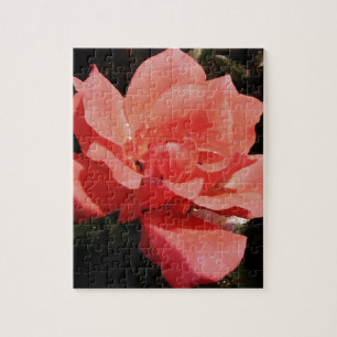 Puzzle Joli rose rose Peach floral