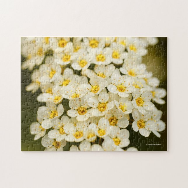 Puzzle Joli spiraea Bride de mariée (Horizontal)