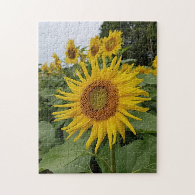 Puzzle Joli tournesol (Vertical)