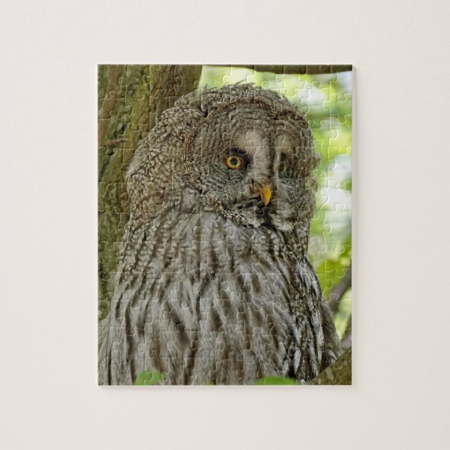 Puzzle Jolie Chouette Brown (Vertical)