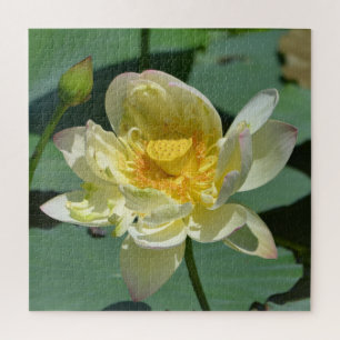 Puzzle Jolie fleur de Lotus