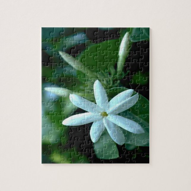 Puzzle Jolie Fleur Stephanotis Blanche (Vertical)