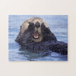 Puzzle Jolie loutre de mer Alaska, États-Unis