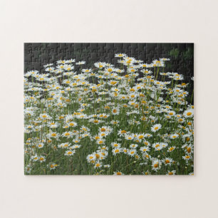 Puzzle Jolie marguerite blanche Photo florale