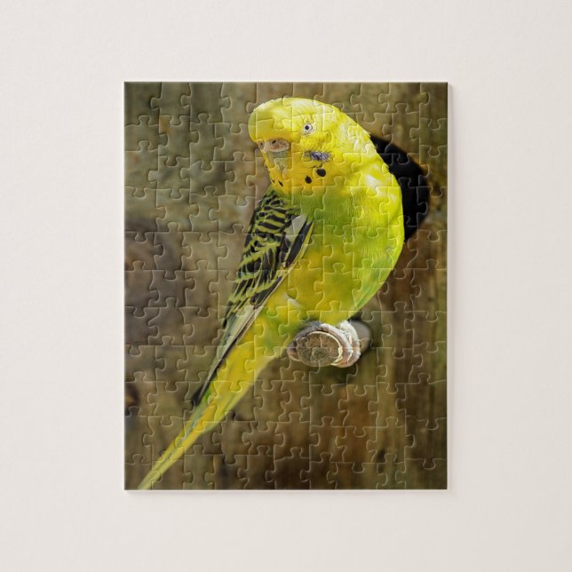 Puzzle Jolie Parakeet Jaune (Vertical)