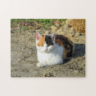 Puzzle Jolie photo de chat Calico