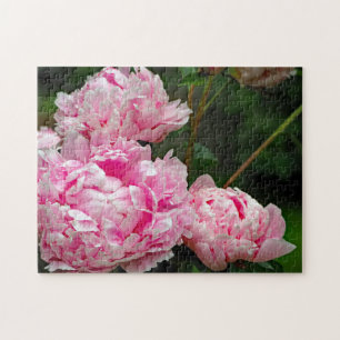 Puzzle Jolie pivoines roses Photo florale
