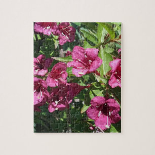 Puzzle Jolie rose Fleur d'été photo