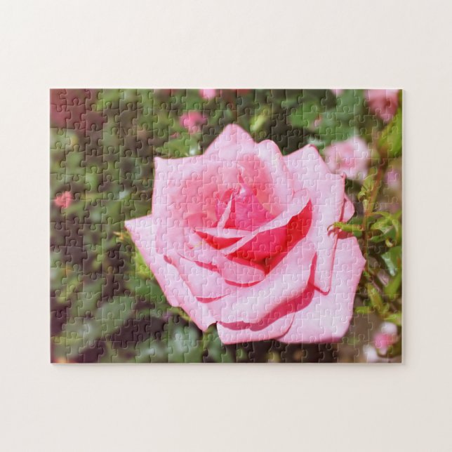 Puzzle jolie rose rose fleur avec coeurs doux (Horizontal)