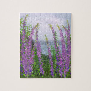 Puzzle Jolies Fleurs Lupines Au Bord Du Lac