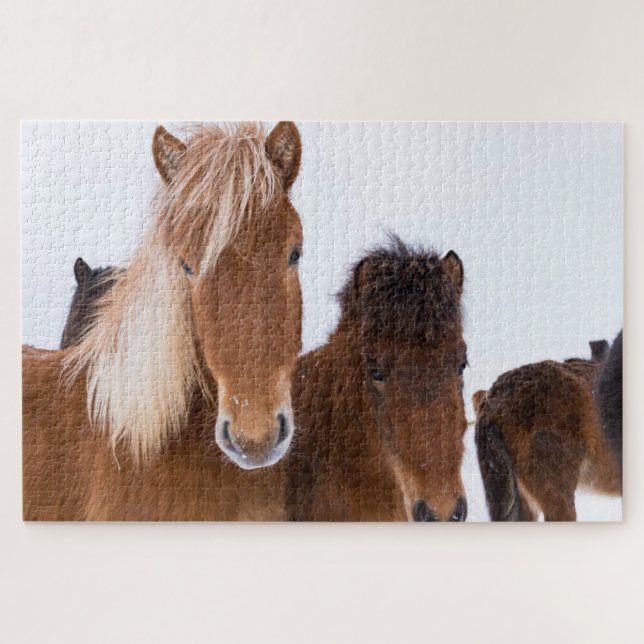 Puzzle Jolis chevaux islandais ensemble (Horizontal)