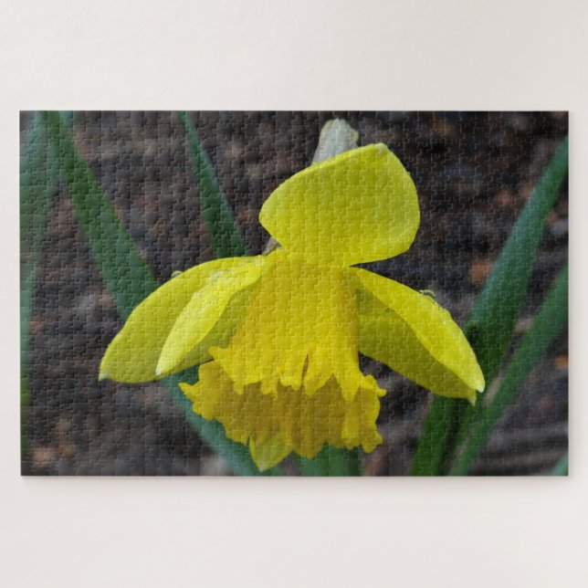 Puzzle Jonquil au printemps (Horizontal)