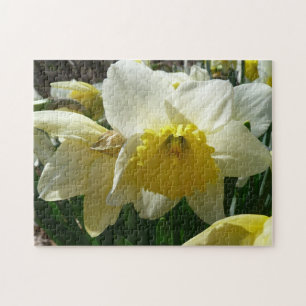 Puzzle Jonquille jaune et blanche Fleur de printemps