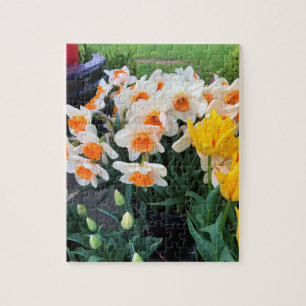 Puzzle Jonquilles & Tulipes, Oregon