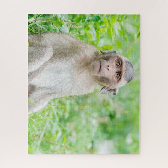 Puzzle Jote jeune Brown singe araignée (Vertical)