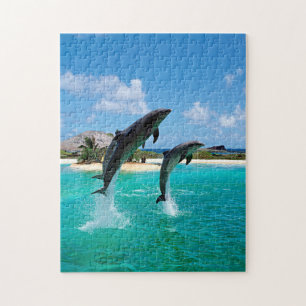 Puzzle Jouer aux dauphins dans les Caraïbes, Jigsaw Puzz