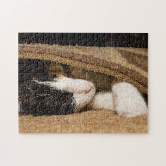 Puzzle Jouer Sous Le Tapis (Horizontal)