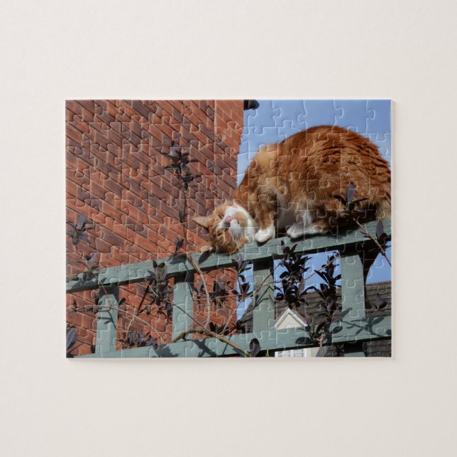 Puzzle Joueur de gingembre (Horizontal)