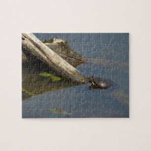 Puzzle Jour de congé de la tortue