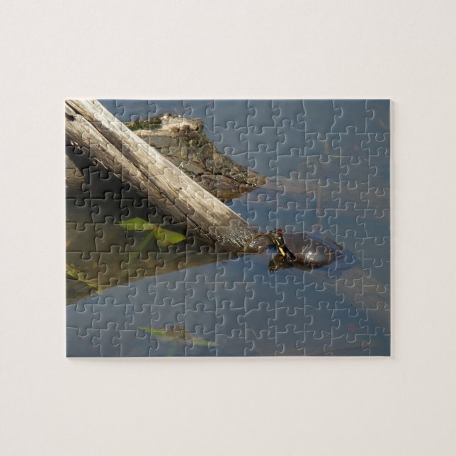 Puzzle Jour de congé de la tortue (Horizontal)