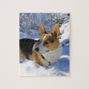 Puzzle Jour de neige de corgi de Gallois