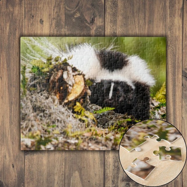 Puzzle Journal de la fouille de la foutre de la fève (Striped Skunk Fern Log Jigsaw Puzzle)