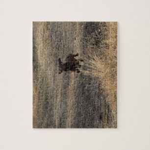 Puzzle Joyeux Dachshund