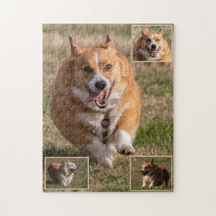 Puzzle Joyeux Visages Courir Corgis