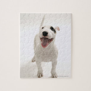 Puzzle Joyful Bull terrier