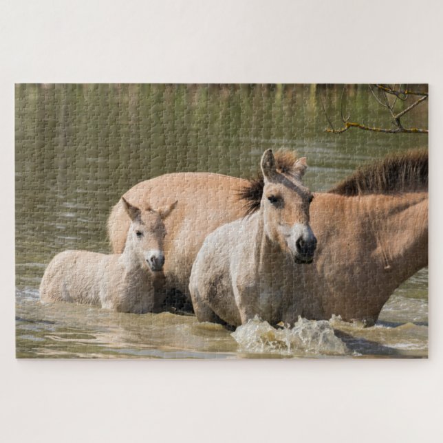 Puzzle Jument avec poulain traversant une rivière (Horizontal)