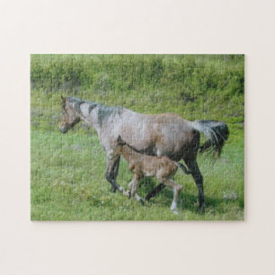 Puzzle Jument quarte de cheval avec le poulain sur le