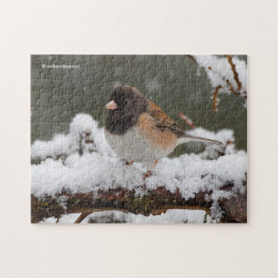 Puzzle Junco à sourcils foncés sur la clôture de neige