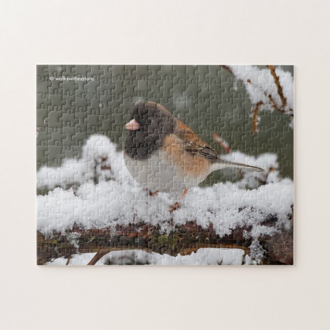 Puzzle Junco à sourcils foncés sur la clôture de neige (Horizontal)