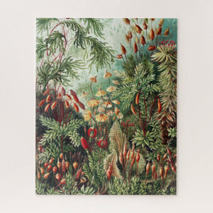 Puzzle Jungle Wilderness