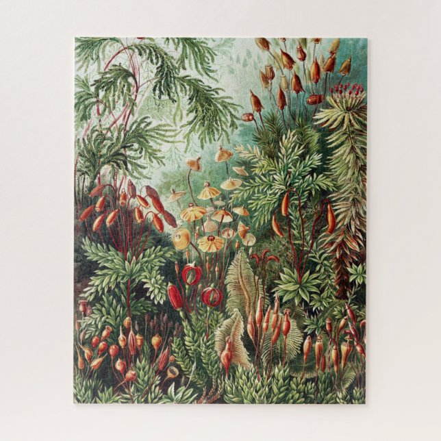 Puzzle Jungle Wilderness (Vertical)