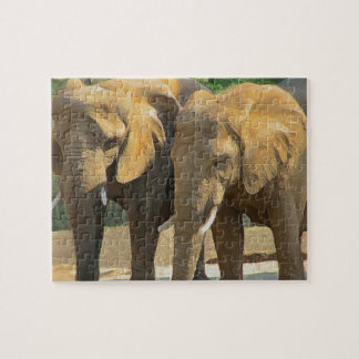 Puzzle Juste deux amis d'éléphant