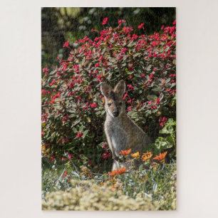 Puzzle Kangaroo