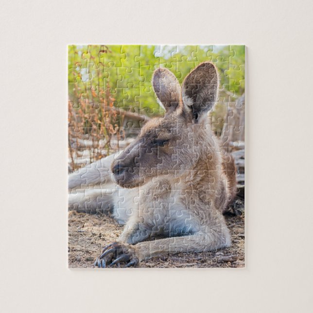 Puzzle Kangaroo Australienne Se Reposer (Vertical)