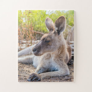 Puzzle Kangaroo Australienne Se Reposer