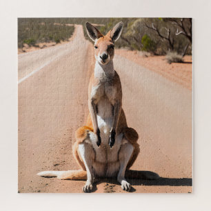 Puzzle Kangaroo dans l'arrière-plan