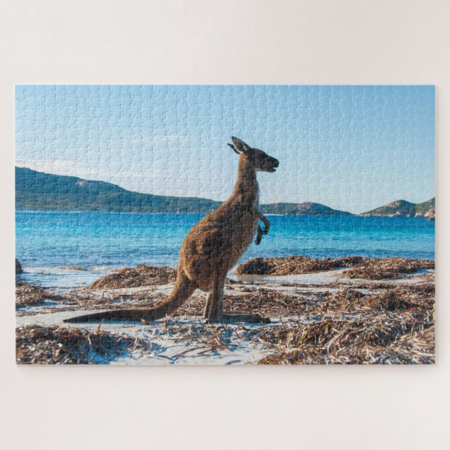 Puzzle Kangaroo on the Beach à Lucky Bay, 1014 pièces (Horizontal)