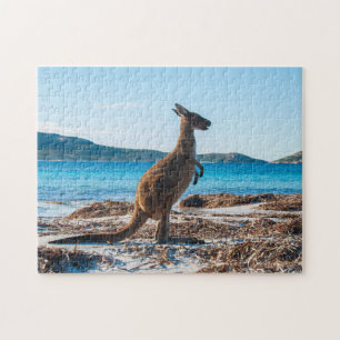 Puzzle Kangaroo on the Beach à Lucky Bay, 252 pièces