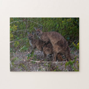 Puzzle Kangaroos faire l'amour en dessous, 252 pièces