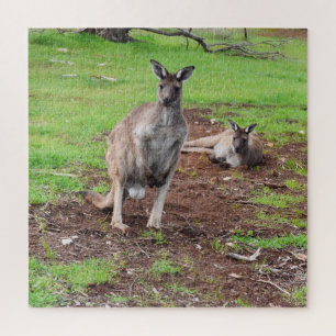 Puzzle Kangaroos Quel Couple Sympa,