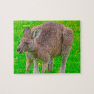 Puzzle Kangourou australien