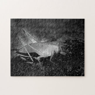 Puzzle Katydid Grasshopper En Noir Et Blanc Nature