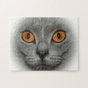 Puzzle Katzenaugen
